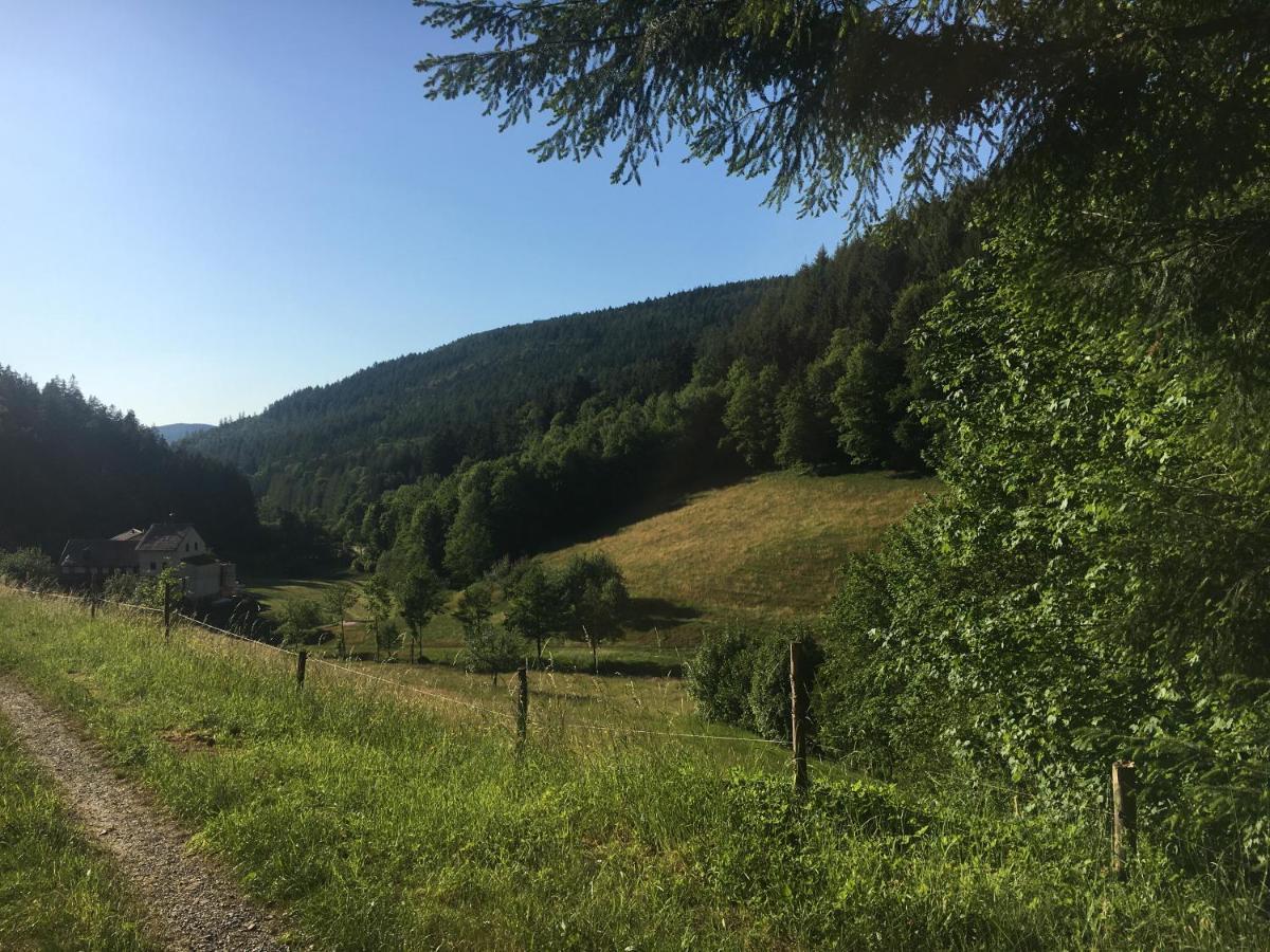 Apartmán Infinity Two Waldbrunn  Exteriér fotografie
